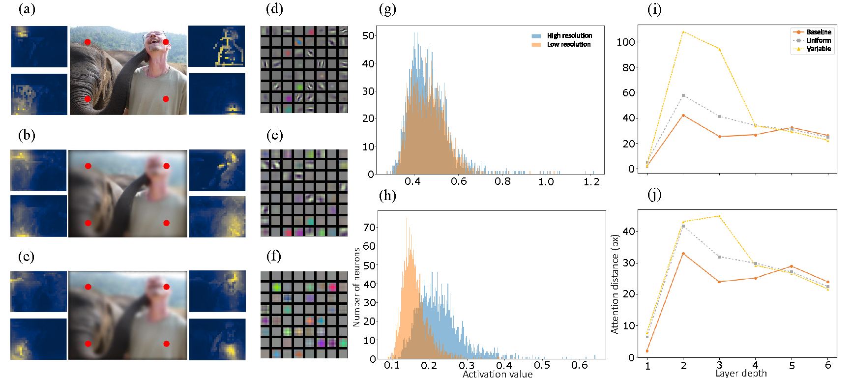 Attention maps & neuron specialisation